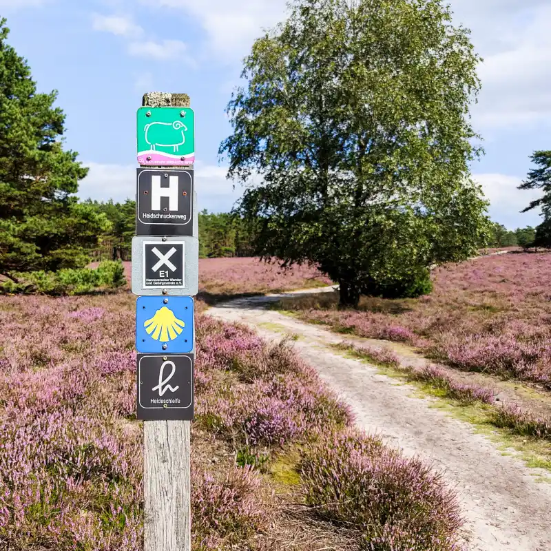 Wegweiser in der Heide