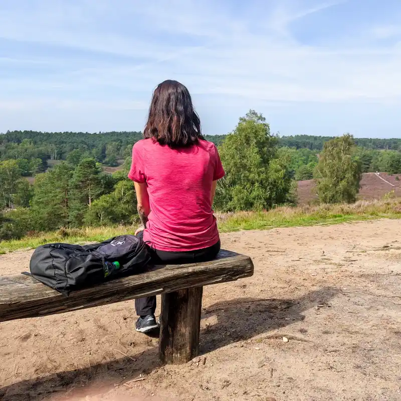 Blick über die Fischbeker Heide zum Elbtal