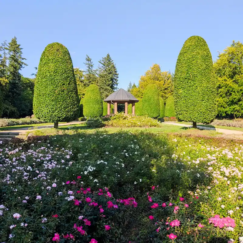 Auf grünen Wegen vom Altonaer Volkspark zum Loki-Schmidt-Garten