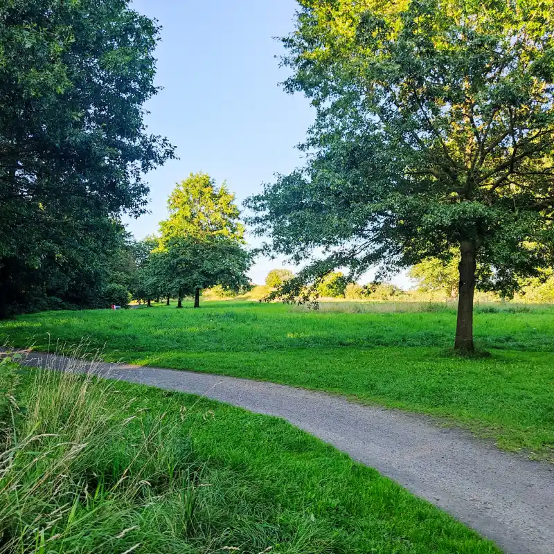Lise-Meitner-Park