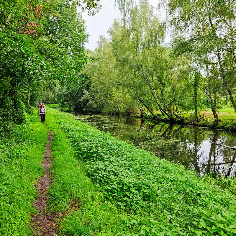 Wasser, Wald und Heide – Durch den Naturpark Nuthe-Nieplitz zum Pfefferfließ und auf den Kienberg