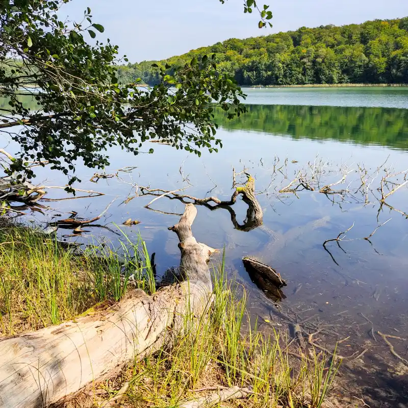 Peetschsee