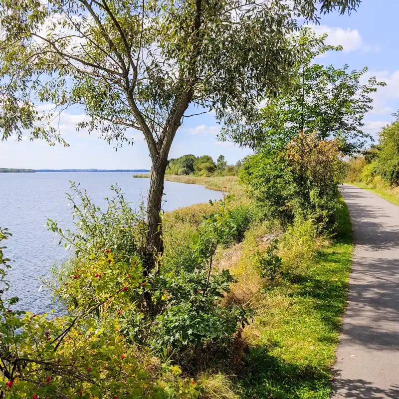 Uferweg am Senftenberger See