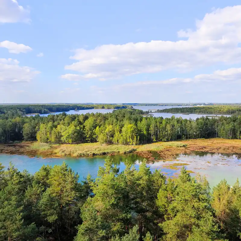 Ausblick auf den Senftenberger See