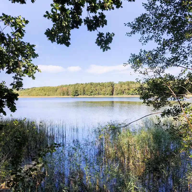 Dichte Wälder und tiefe Seen entlang der erweiterten Glubigseenkette