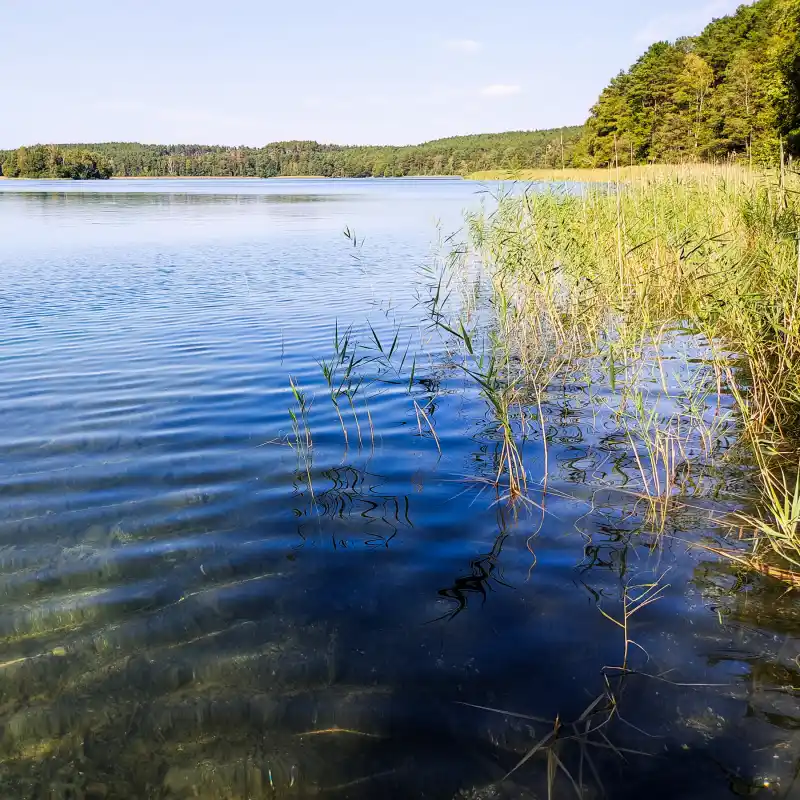 Grubensee