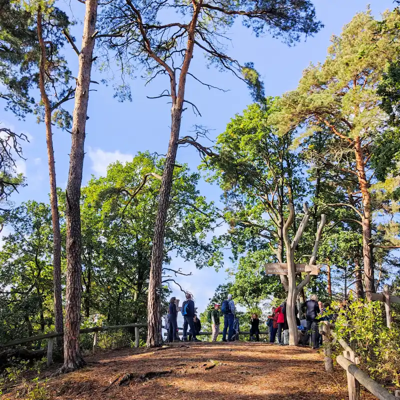 Vom Großen und Kleinen Ravensberg zum Babelsberger Park und an das Ufer des Griebnitzsees