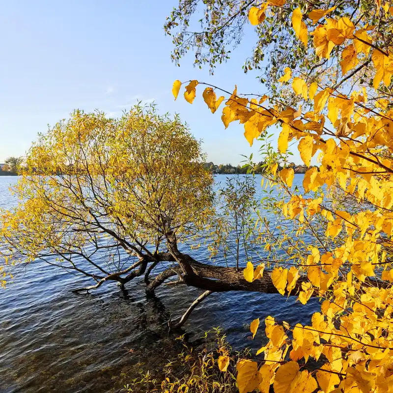 Rund um den herbstlichen Tiefwarensee und die Altstadt von Waren an der Müritz