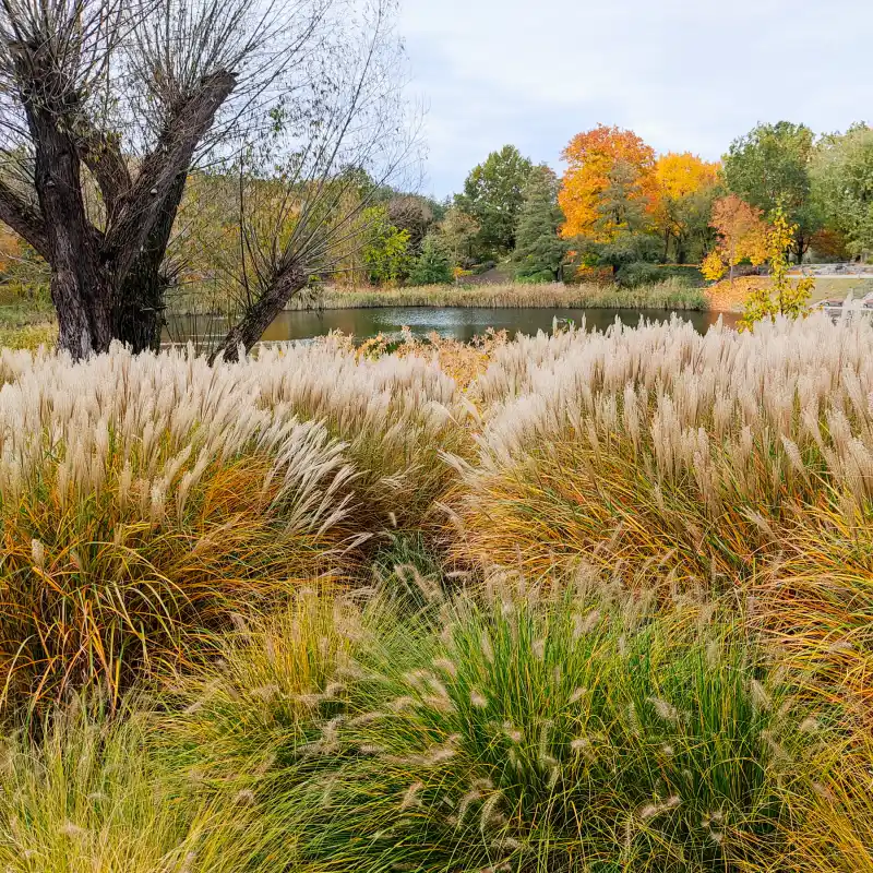 Botanischer Garten