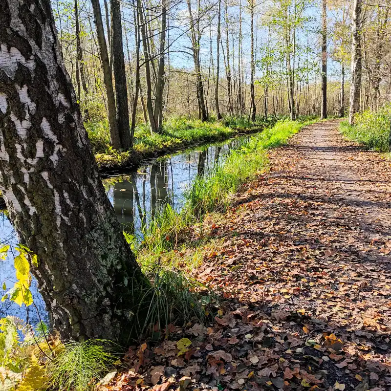 Bunte Spreewaldwanderung mit Kultur und Natur zwischen Lübbenau und Raddusch