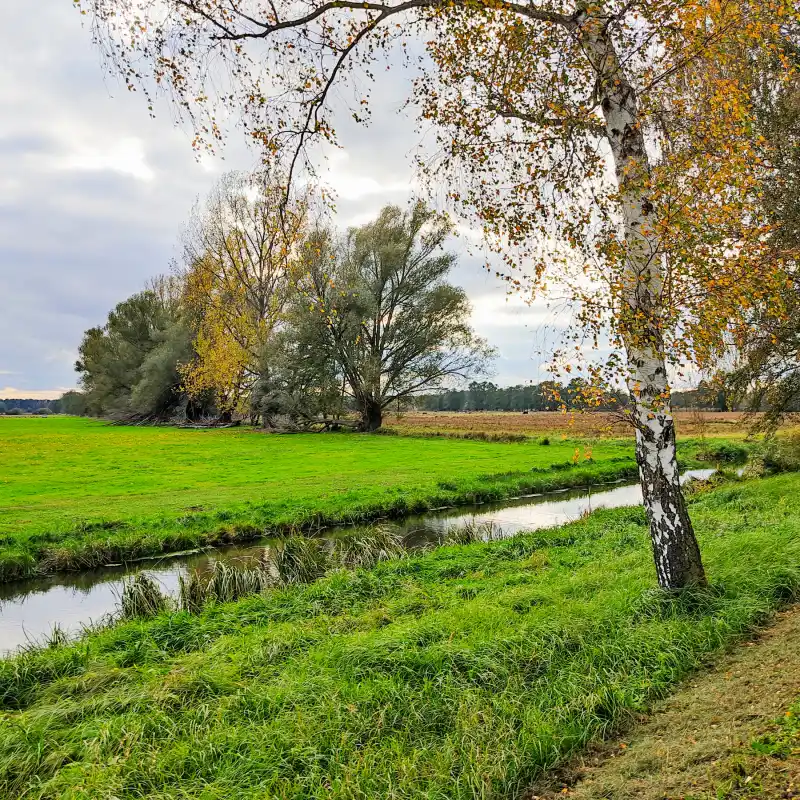 Wiesen am Südumfluter