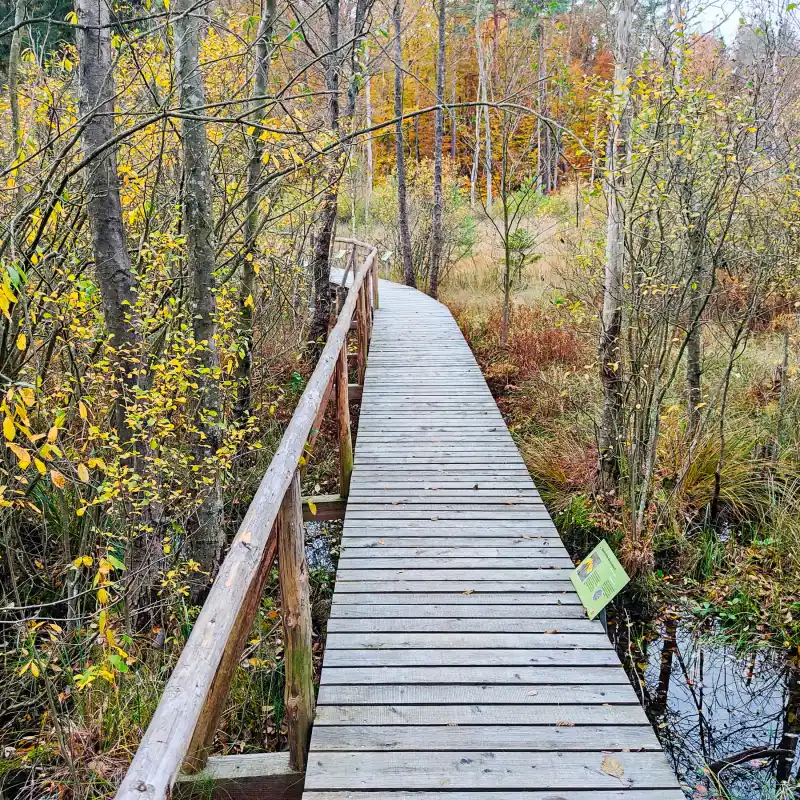 Bohlenweg am Kleinen Serrahnsee
