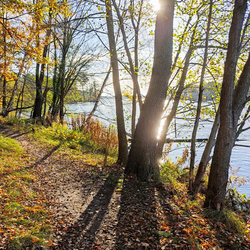 Waldweg an der Großen Krampe