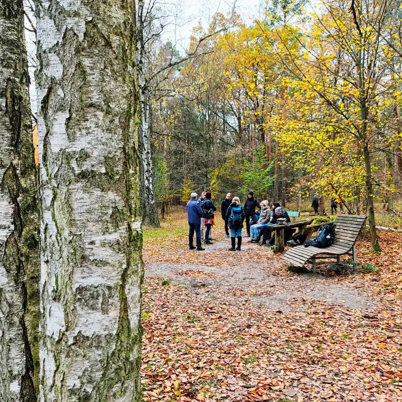 Rastplatz an der Kuhlage