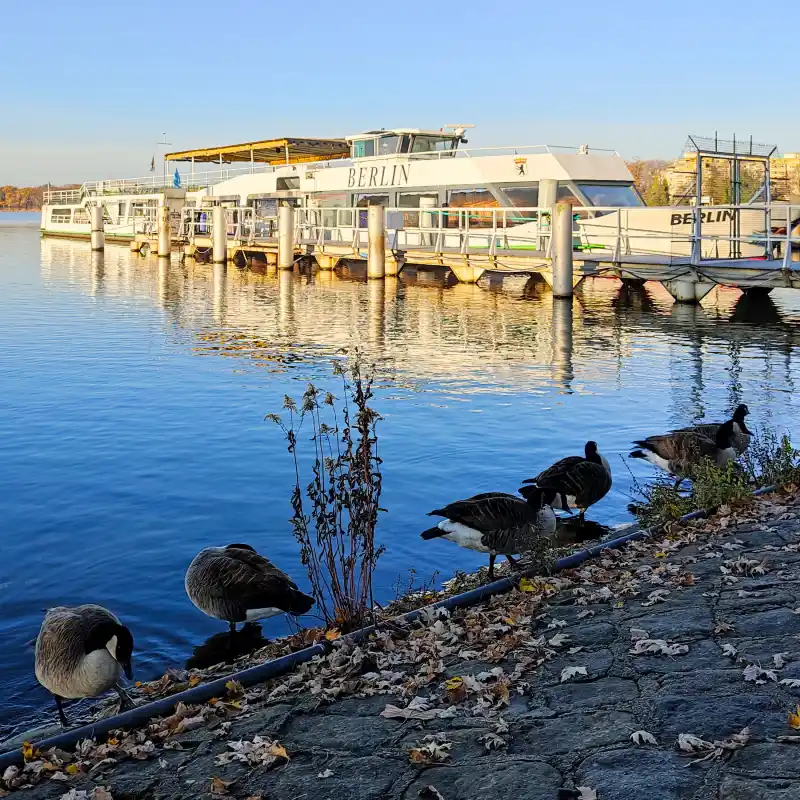 Rund um den Tegeler See von der Greenwichpromenade zur Wasserstadt und der Dicken Marie