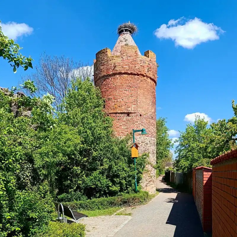 Pulverturm mit Storchennest
