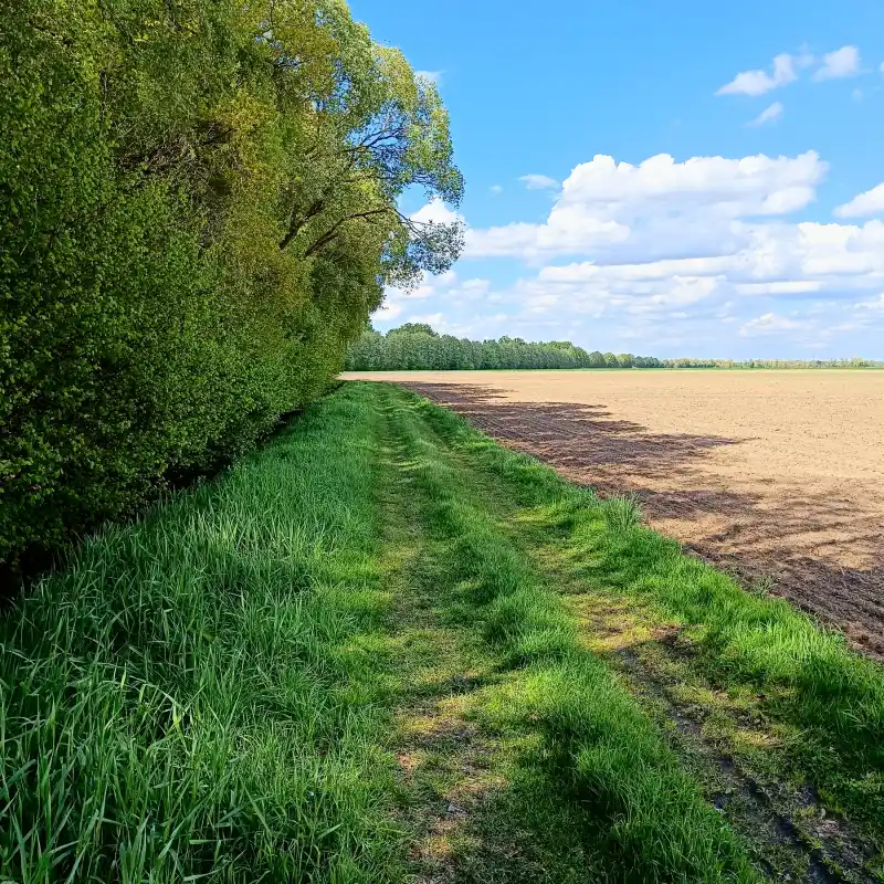 Landschaft am Zarth