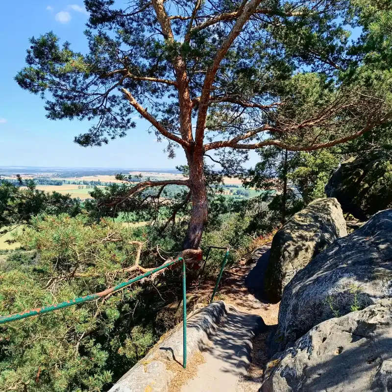 Kammweg auf der Teufelsmauer