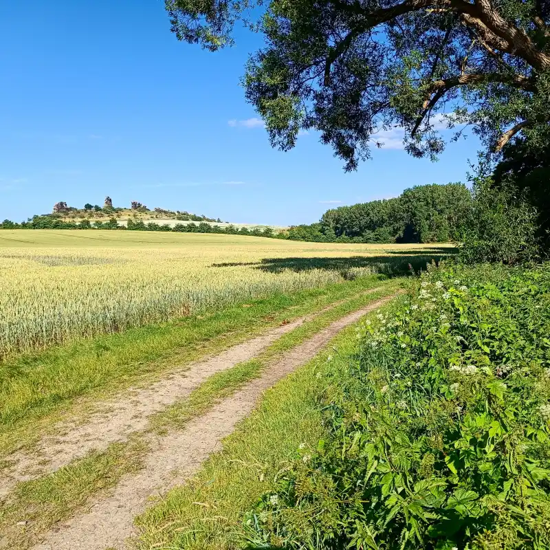 Teufelsmauer bei Thale