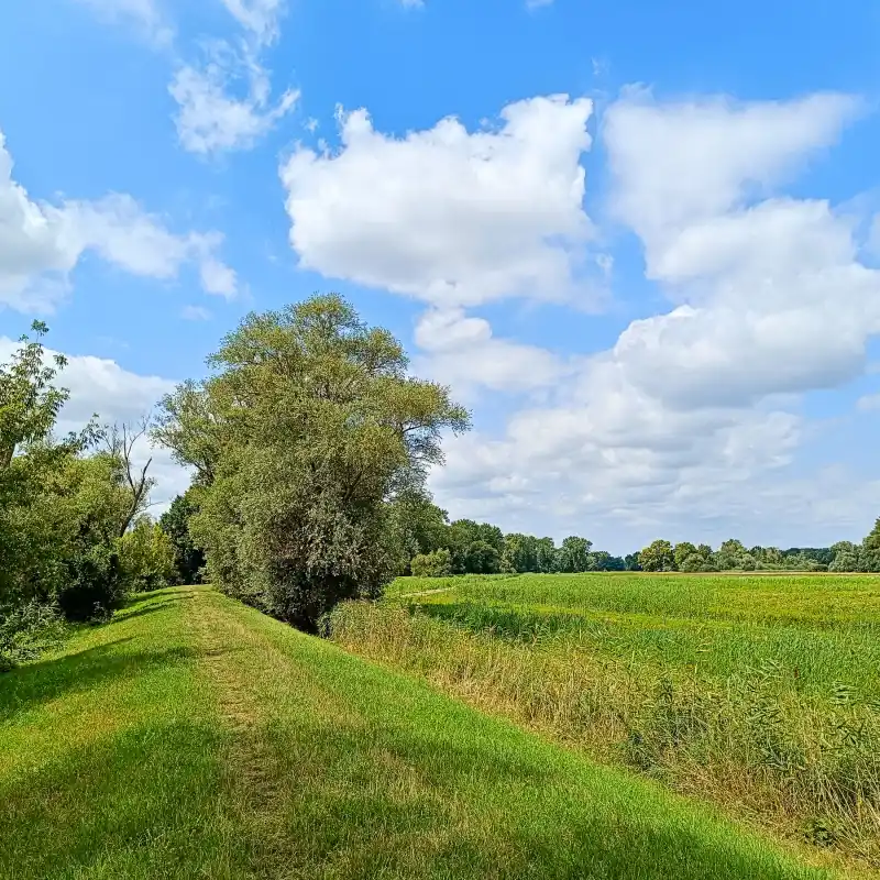 Haveldeich am Münchwerder
