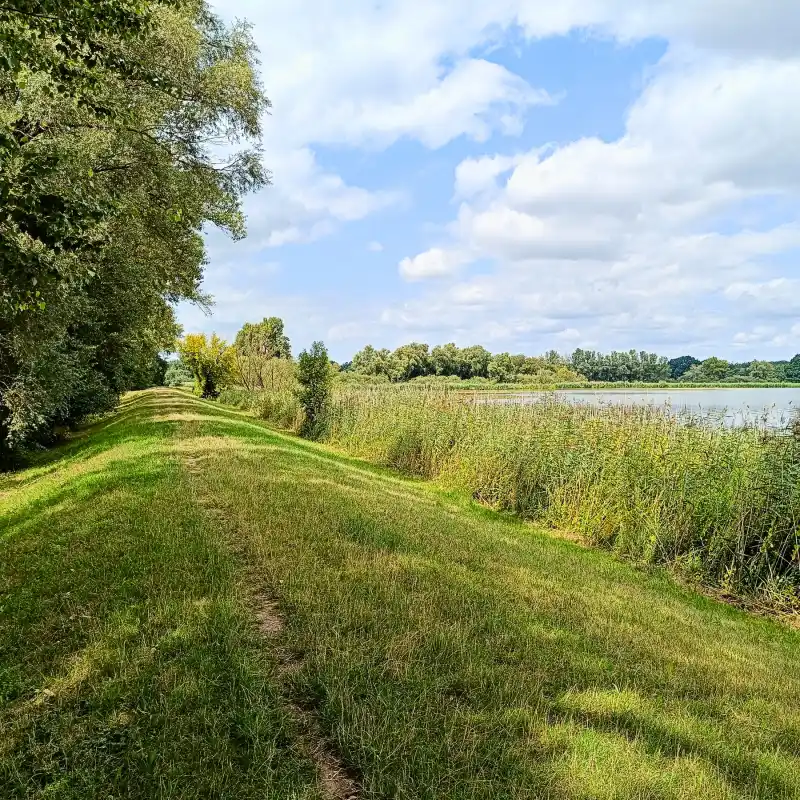 Haveldeich am Quenzsee