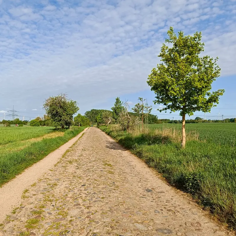 Feldweg bei Wustermark