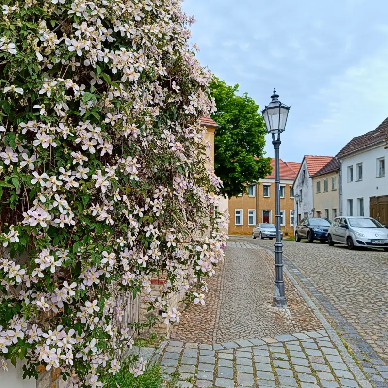 Altstadt Nauen