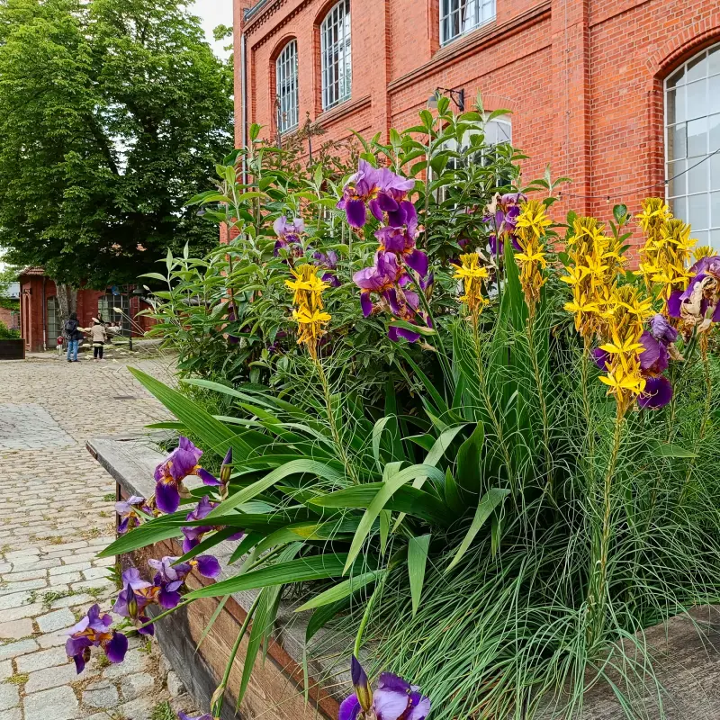 Hochbeet im Marienpark