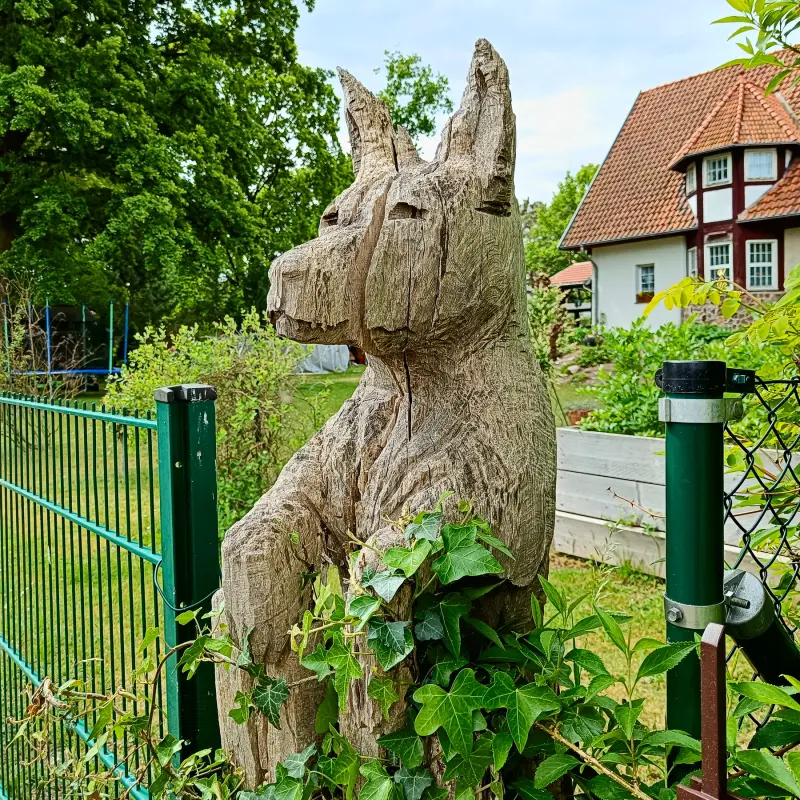 Holzhund in Kummersdorf