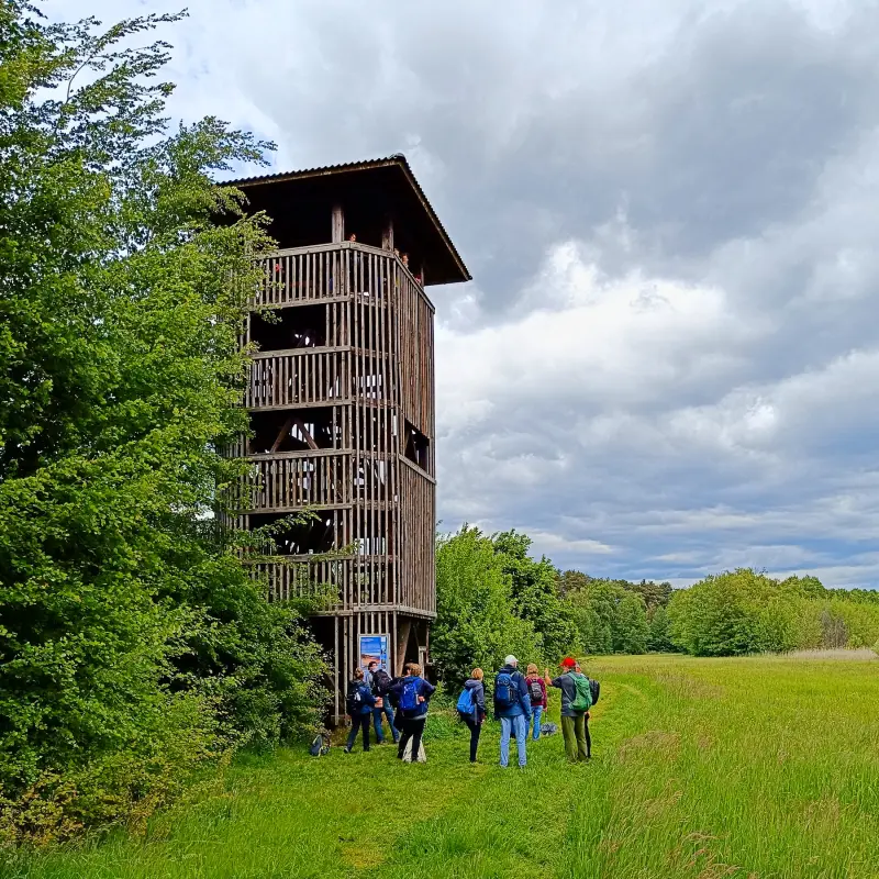 Aussichtsturm am Groß Schauener See