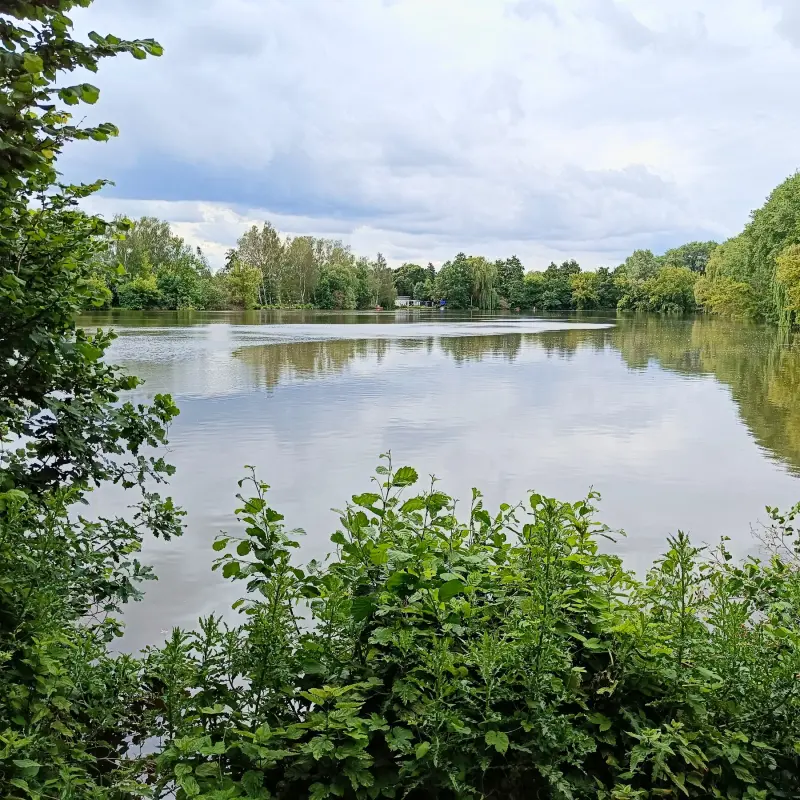 Karpfenteiche