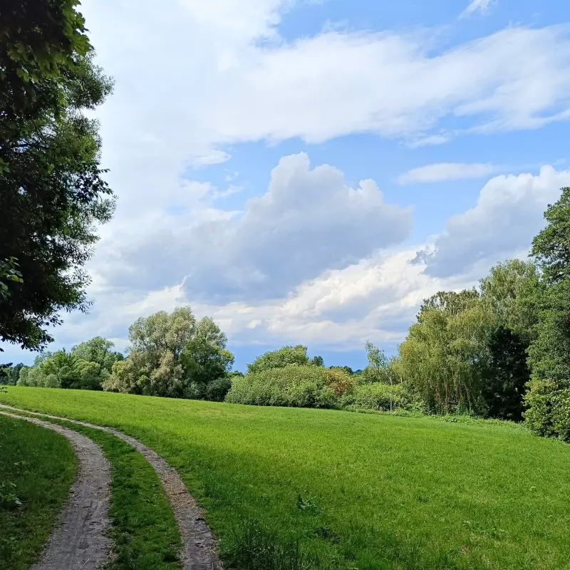Feldweg nach Lübars