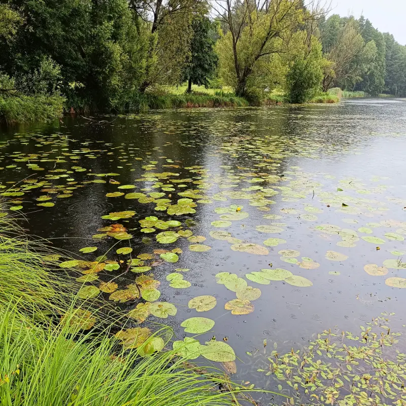 Dahme bei Märkisch Buchholz