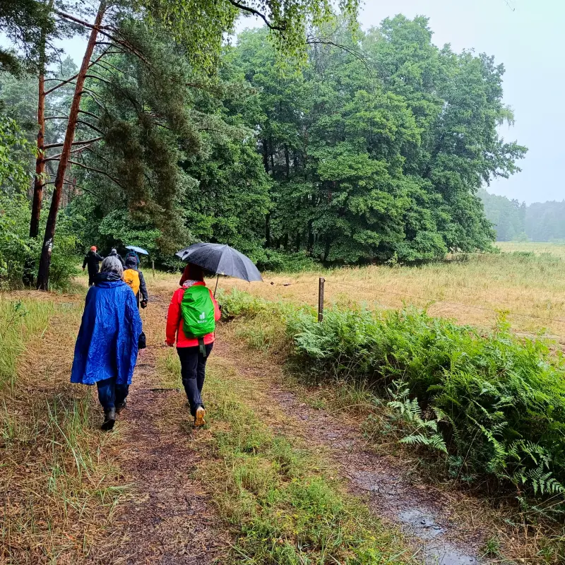 Weg an den Dahmewiesen