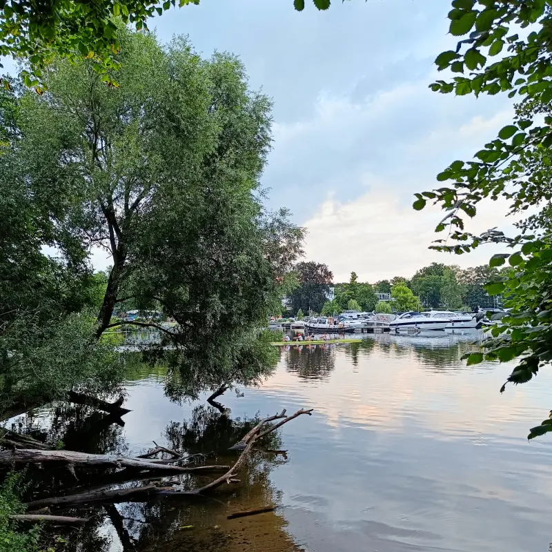 Pohlesee