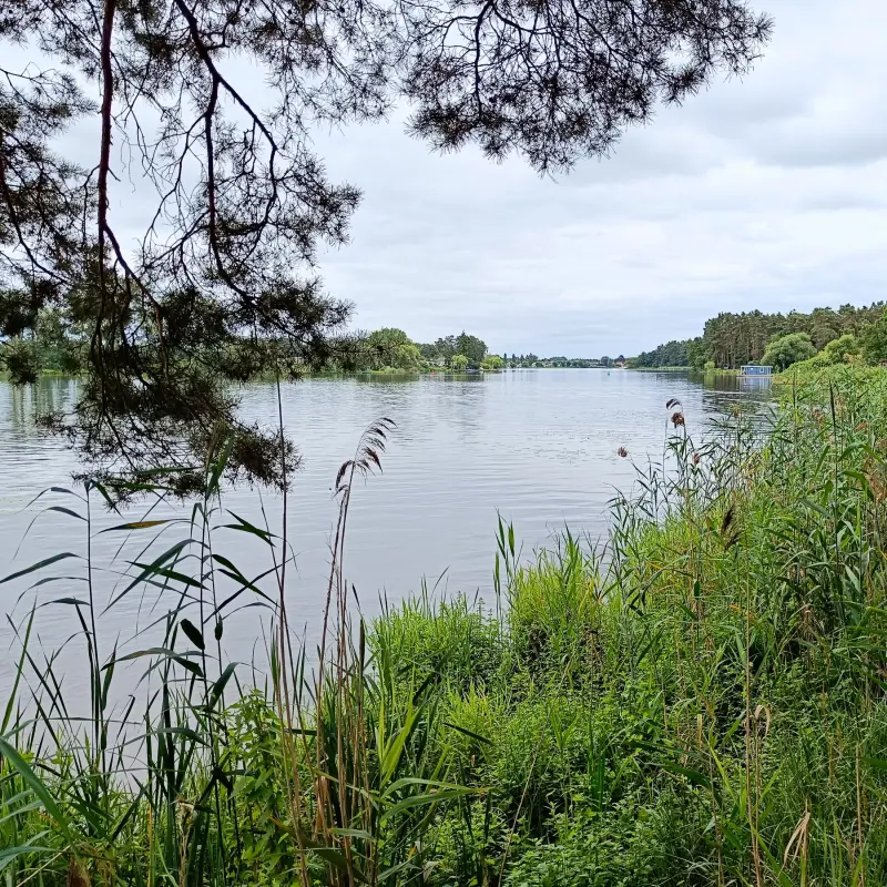 Havelblick