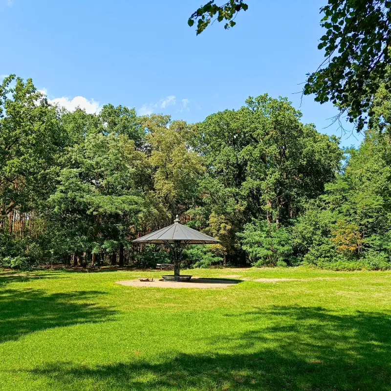 Großer Stern im Wildpark