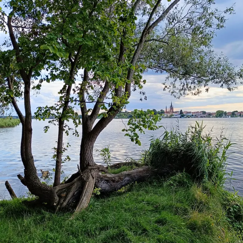 Blick über die Havel auf Werder