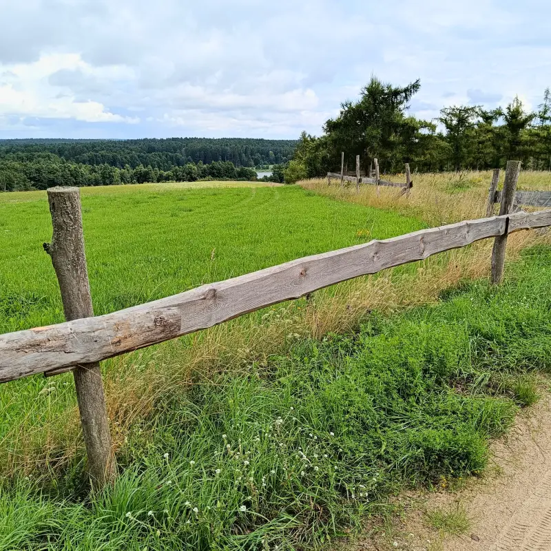 Wiesen bei Dahmsdorf