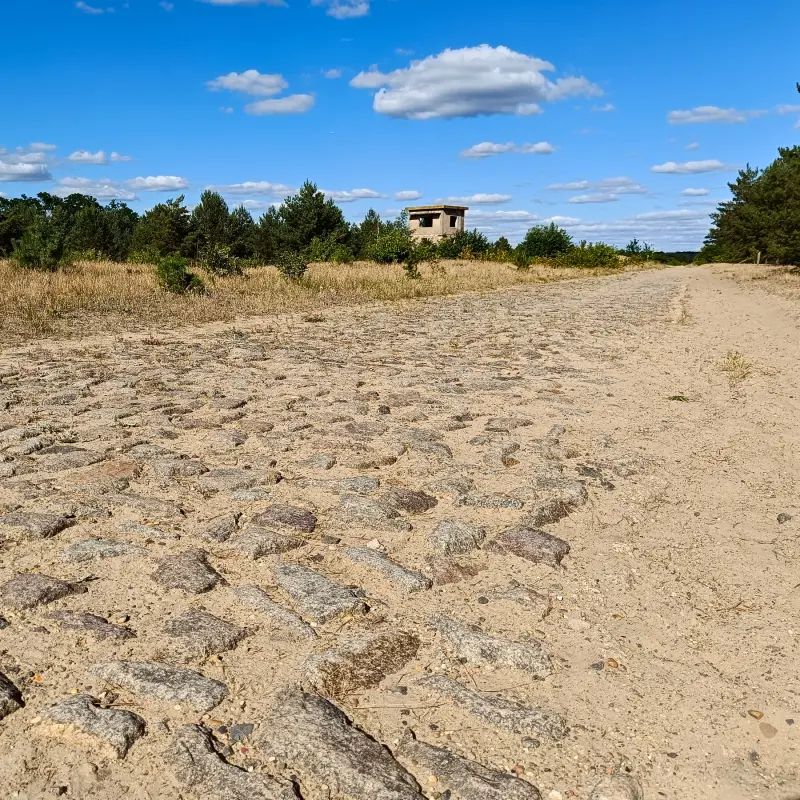 Kopfsteinpflaster auf dem Rundweg Wurzelberg