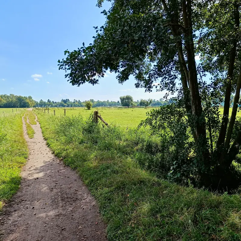 Nordfeld in Heiligensee