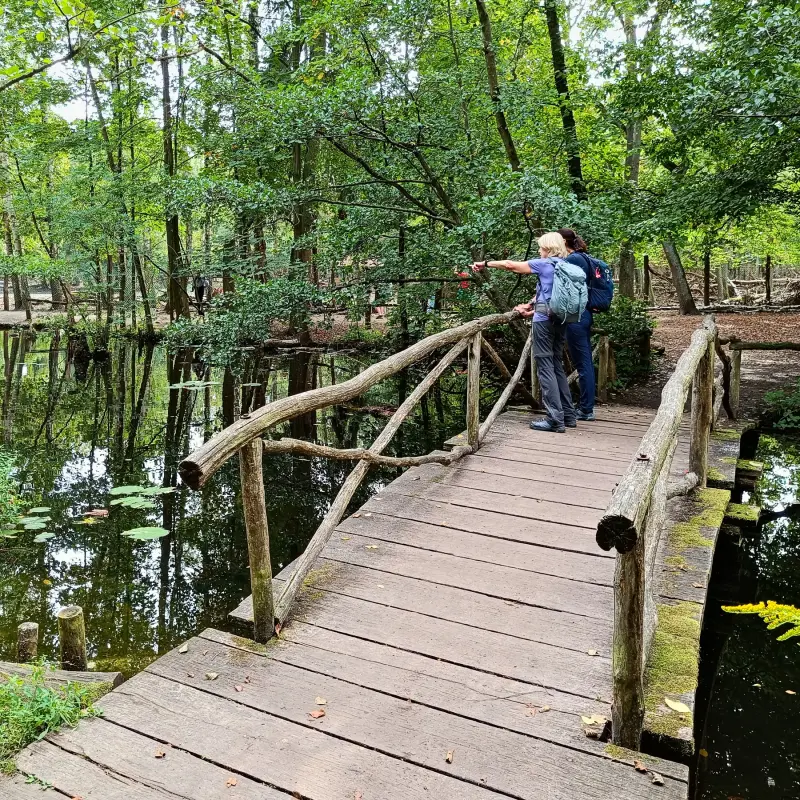 Kuhlake im Spandauer Forst