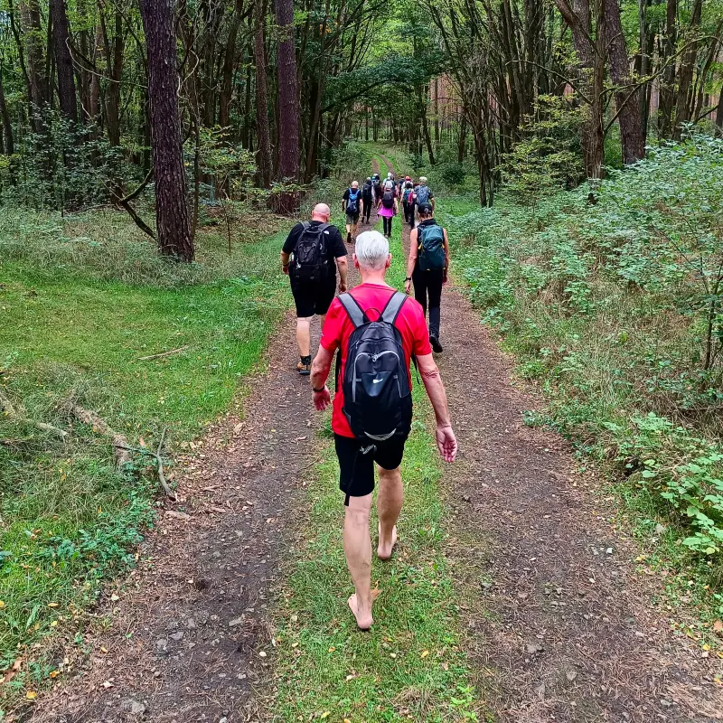 Forstweg ins Schlaubetal