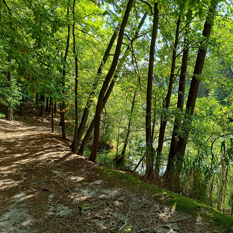 Uferweg an der Schlaube