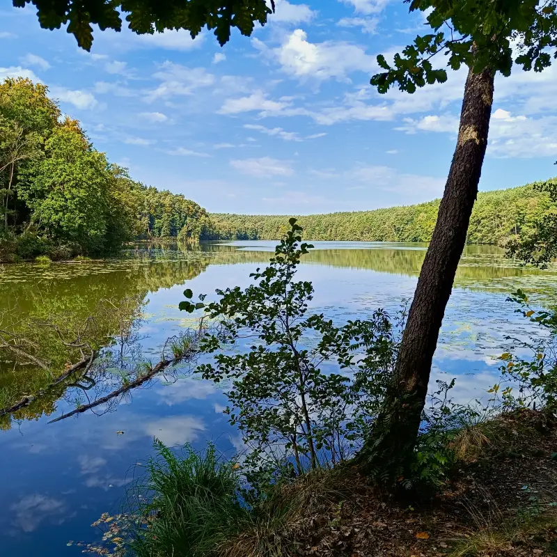 Langesee