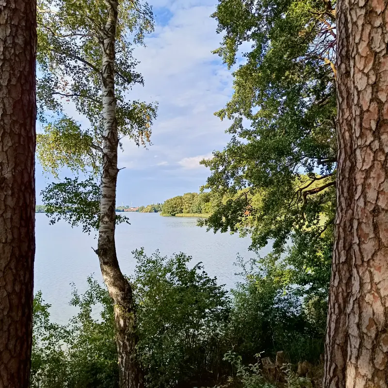 Großer Müllroser See