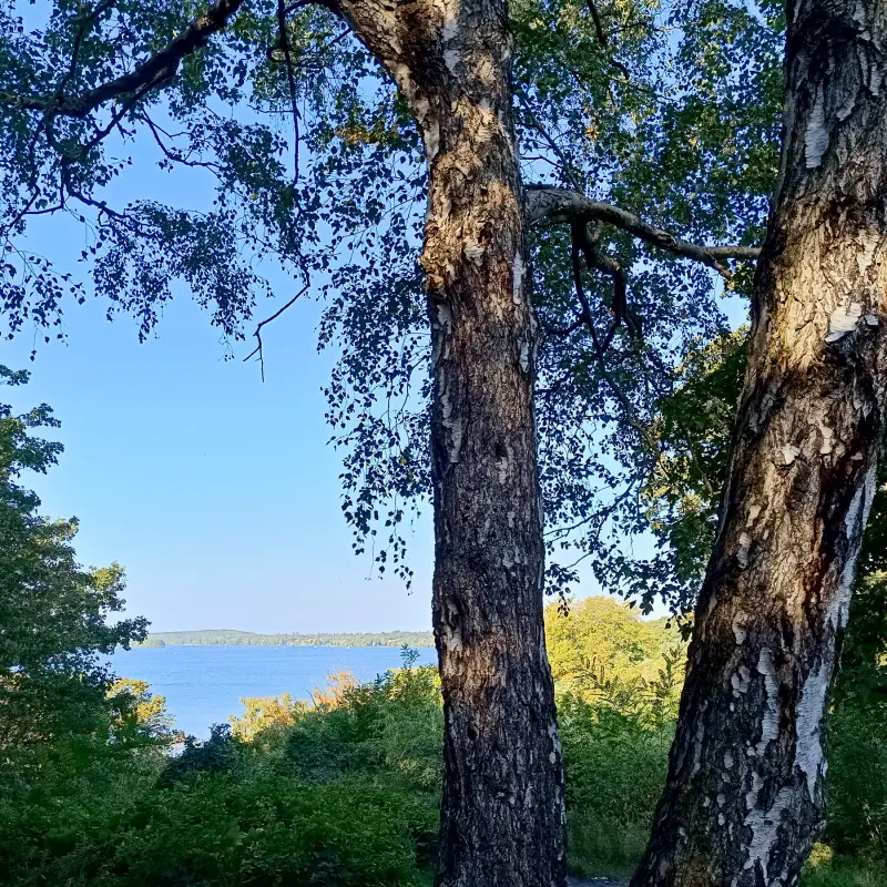 Großer Wannsee und Havel