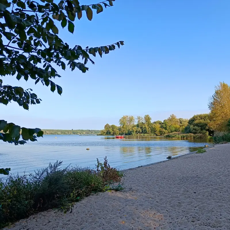 Große Steinlanke