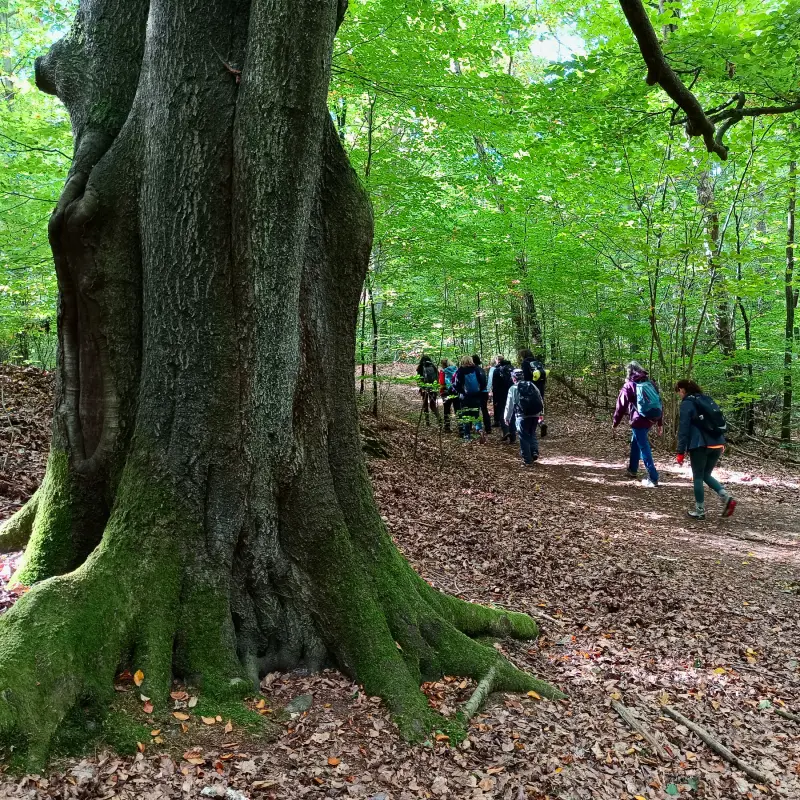 Wanderweg im Briesetal