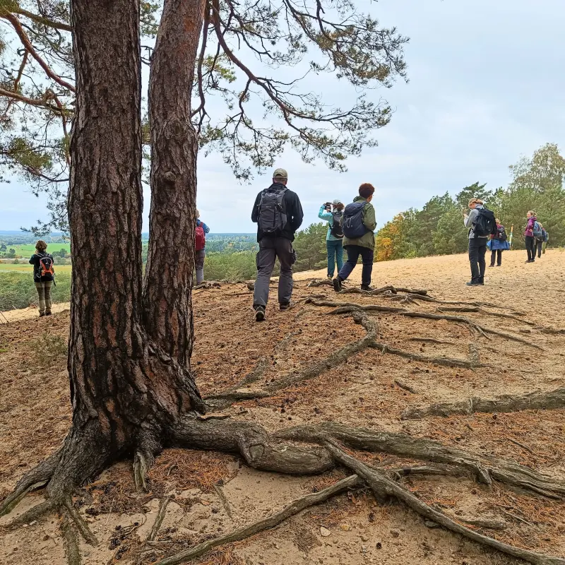 Eichberg bei Saarmund